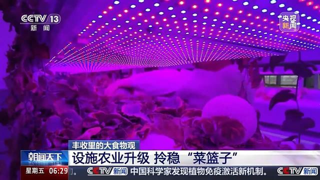 植物工廠長啥樣？沙漠里能種水稻？揭秘種菜“黑科技”  第2張