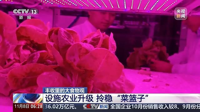 植物工廠長啥樣？沙漠里能種水稻？揭秘種菜“黑科技”  第1張