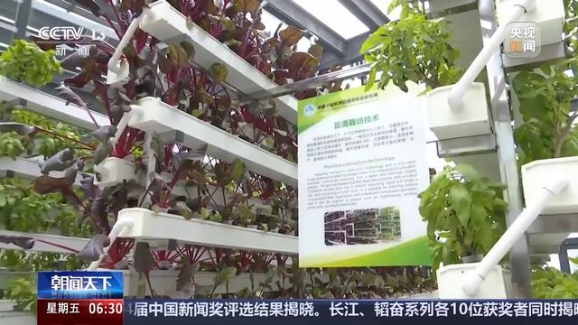 植物工廠長啥樣？沙漠里能種水稻？揭秘種菜“黑科技”  第4張