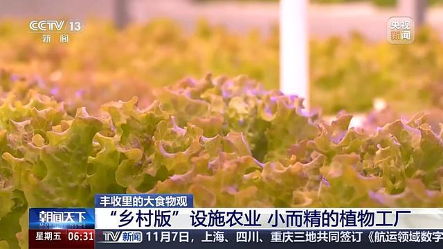 植物工廠長啥樣？沙漠里能種水稻？揭秘種菜“黑科技”  第5張