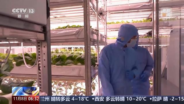 植物工廠長啥樣？沙漠里能種水稻？揭秘種菜“黑科技”  第6張