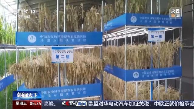 植物工廠長啥樣？沙漠里能種水稻？揭秘種菜“黑科技”  第11張